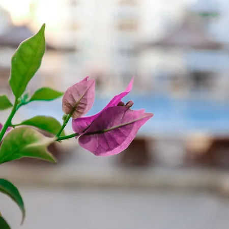 Costal Charm Golem (Tirana)